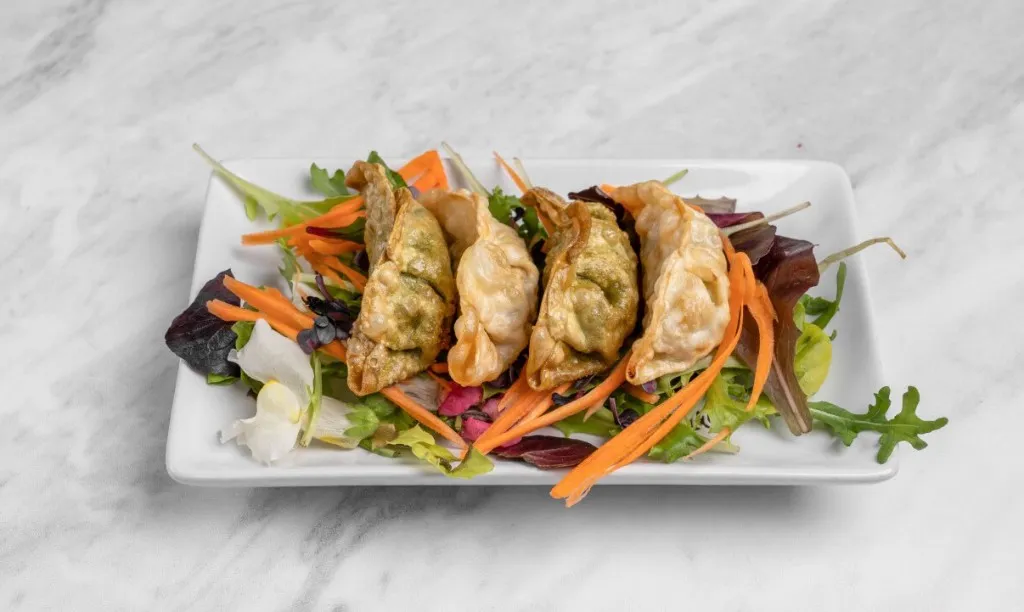 Gyoza — Asia Quick Kiel